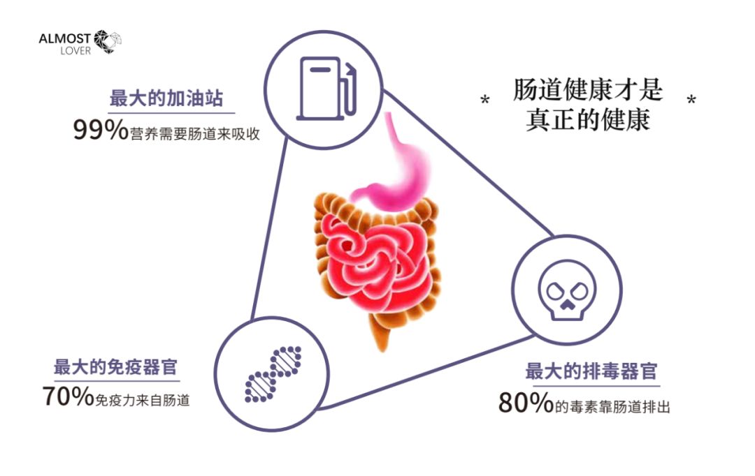 明星圈的风潮—酵素，你知道多少？